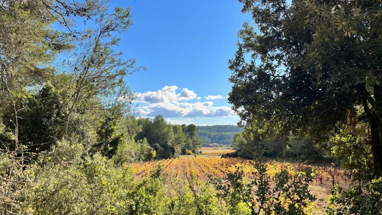 Le Chalet Saint-Jean-de-Minervois Εξωτερικό φωτογραφία