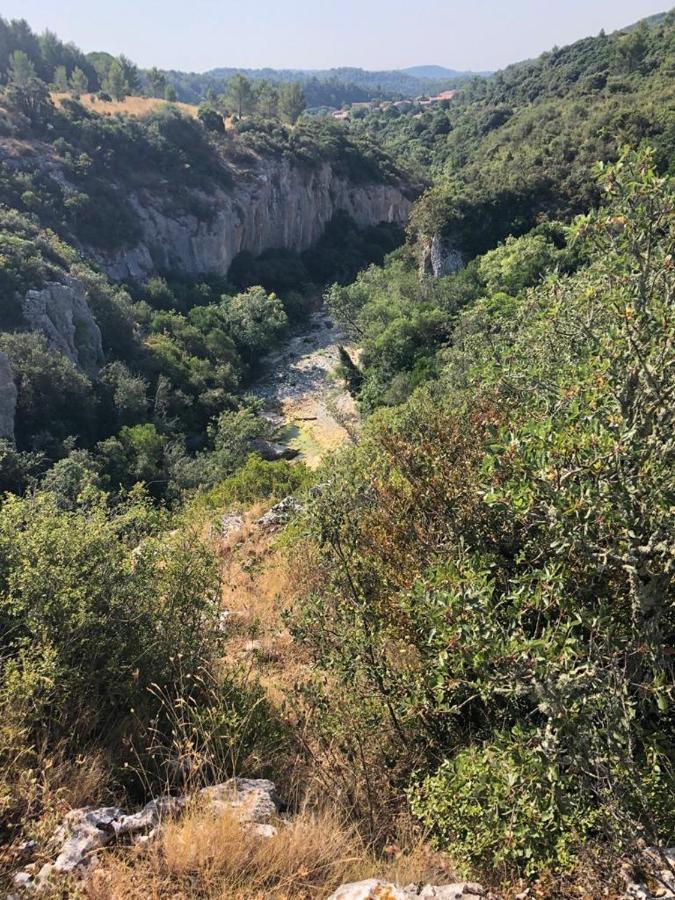Le Chalet Saint-Jean-de-Minervois Εξωτερικό φωτογραφία